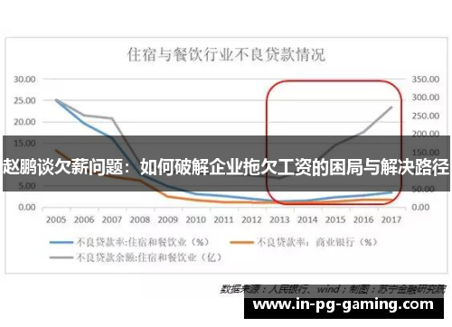 赵鹏谈欠薪问题：如何破解企业拖欠工资的困局与解决路径